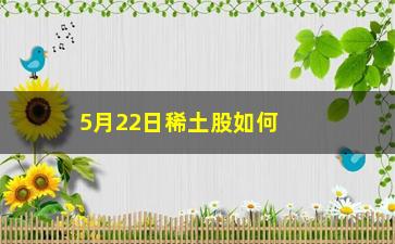 “5月22日稀土股如何